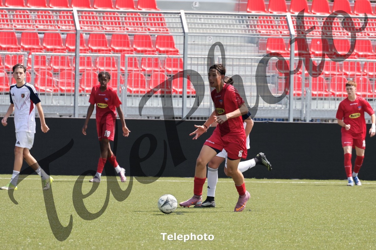 Telephoto_96