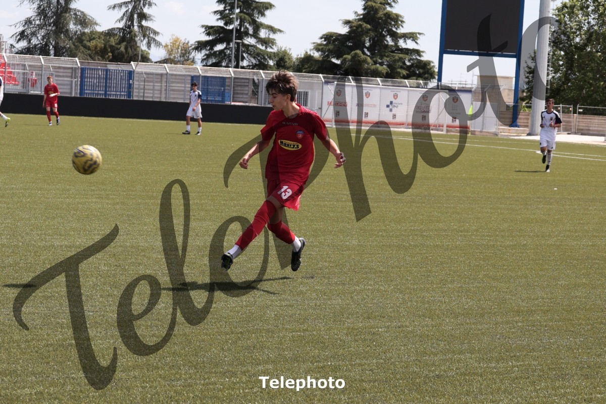 Telephoto_98