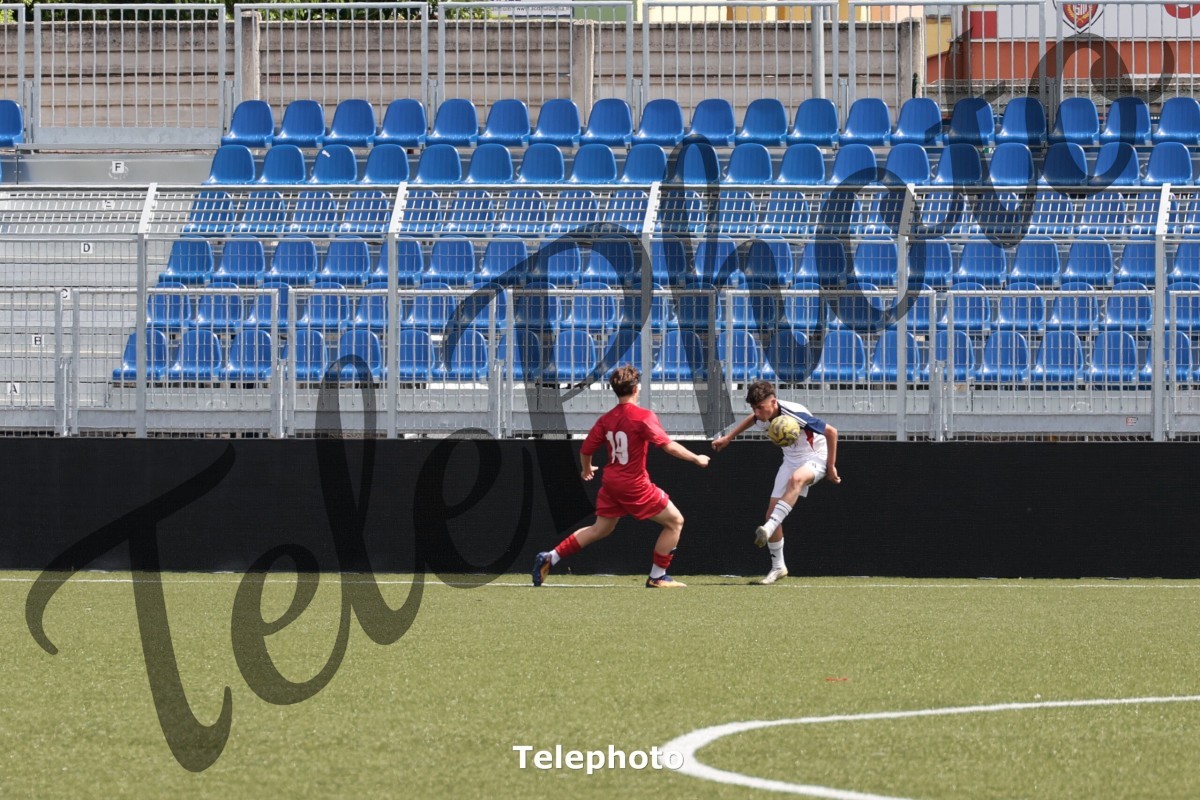 Telephoto_101