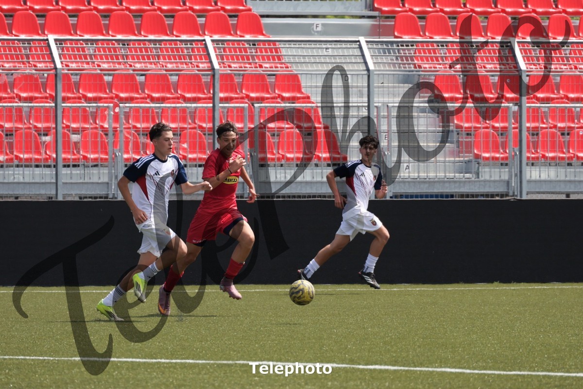 Telephoto_102