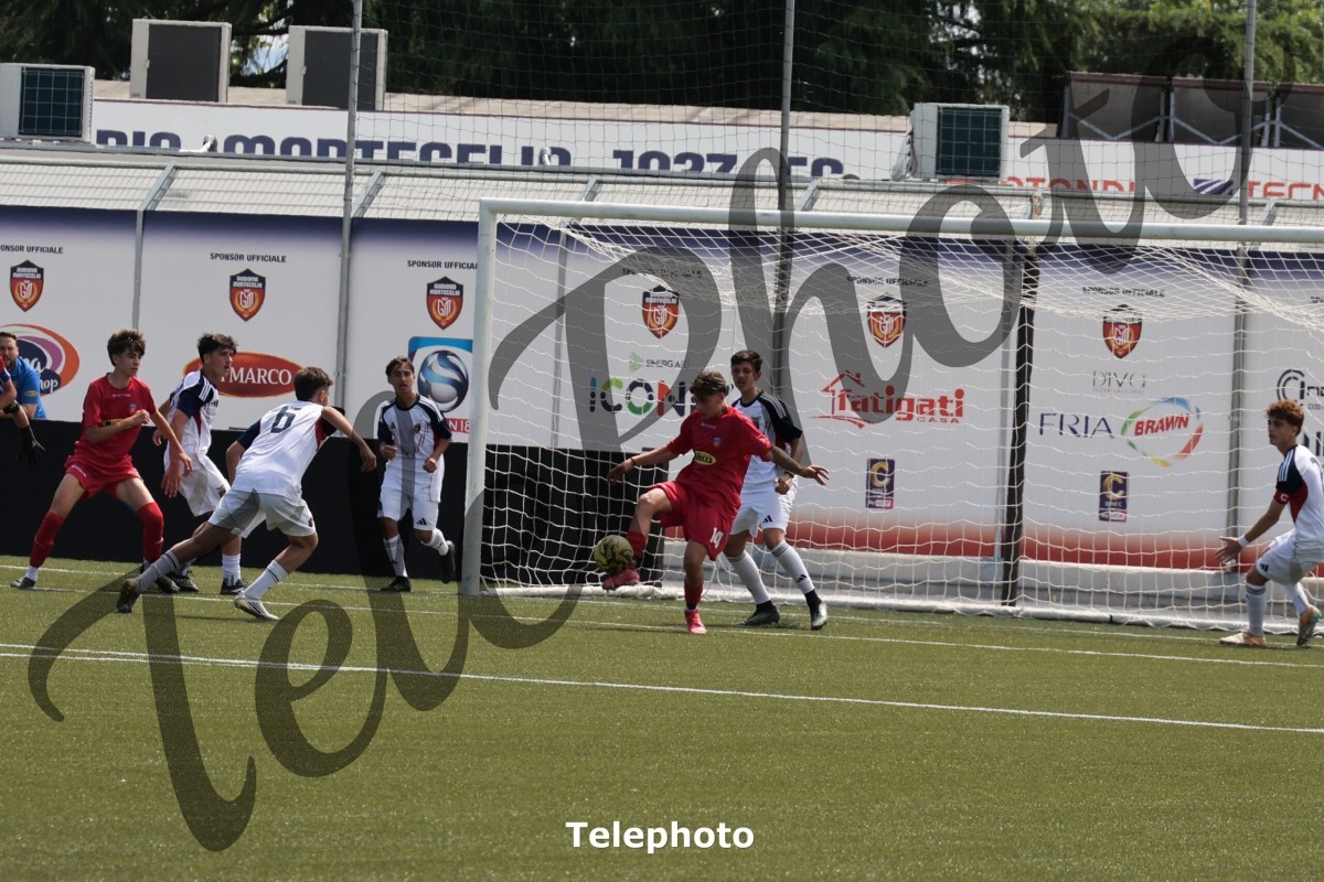 Telephoto_103
