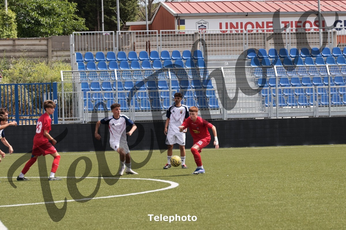 Telephoto_106