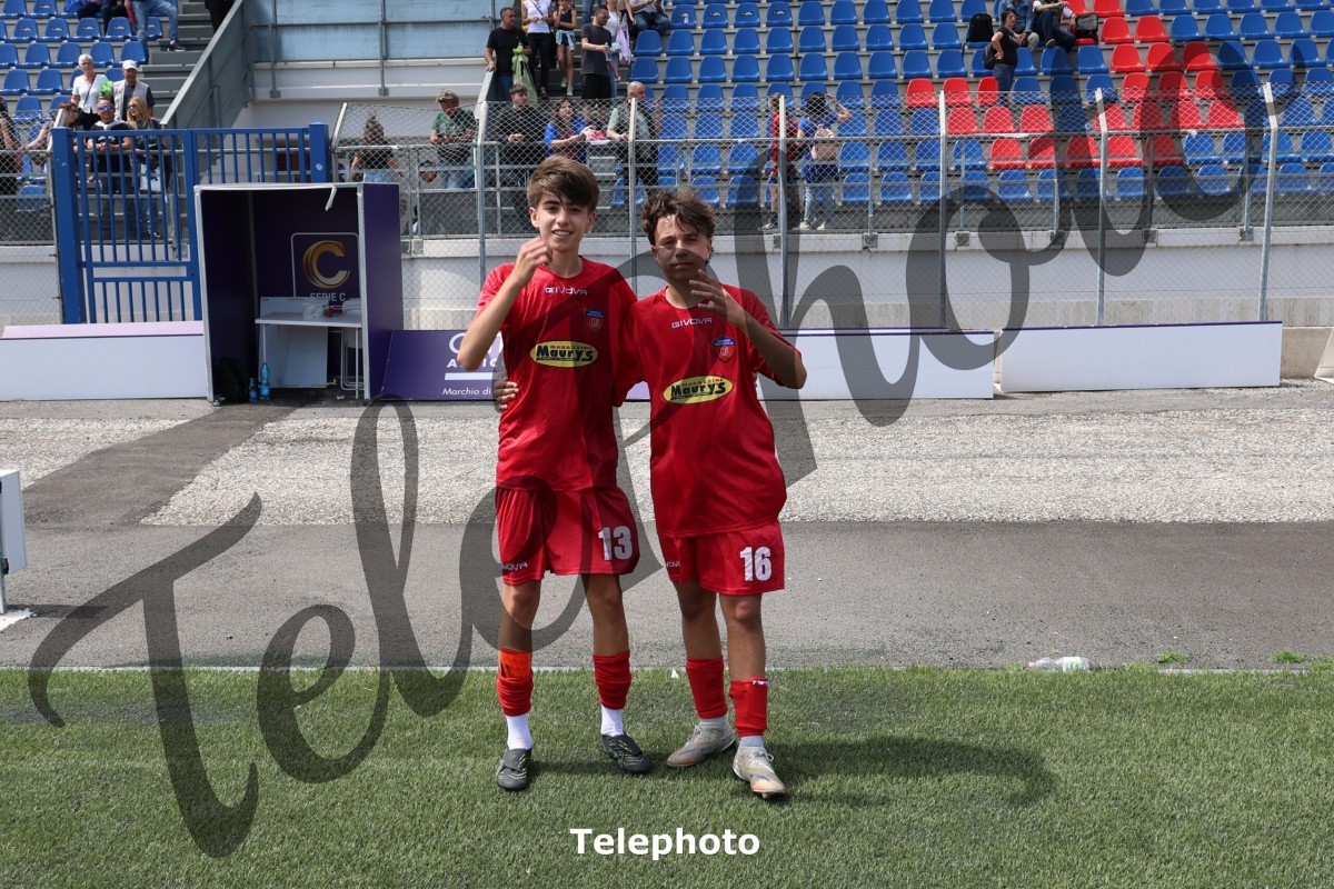 Telephoto_110