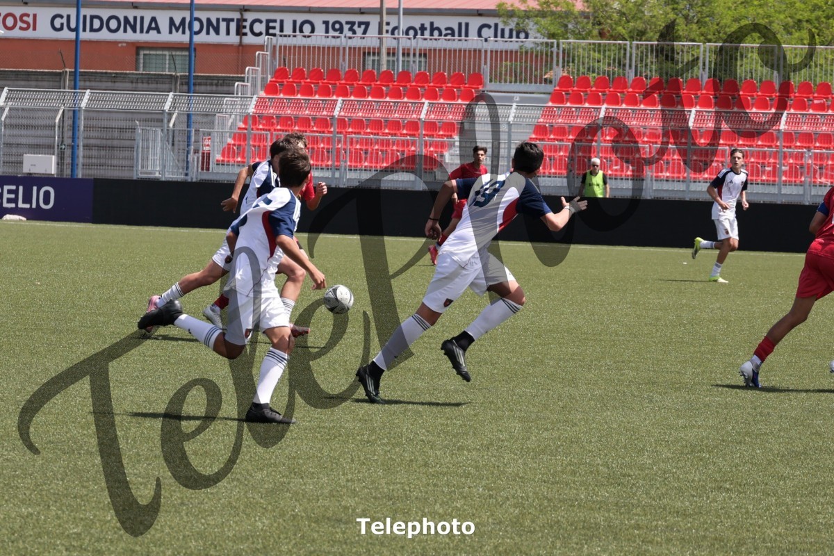 Telephoto_3
