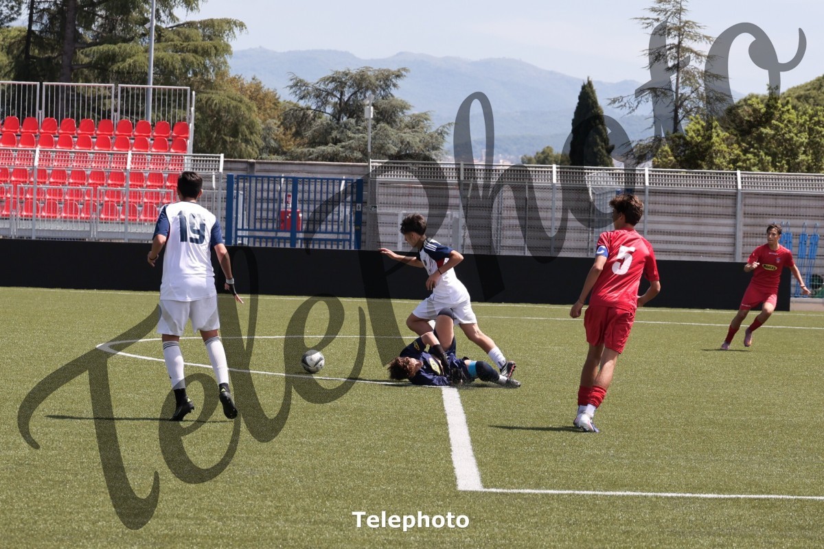 Telephoto_4