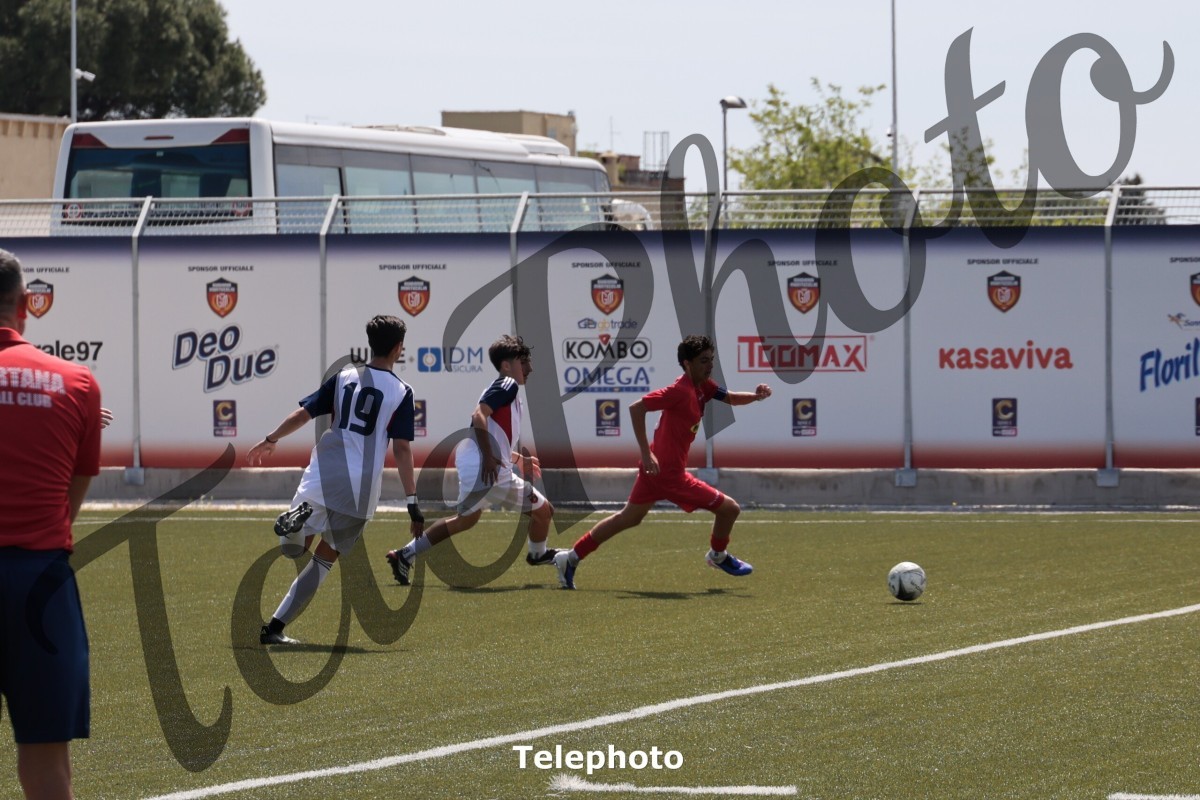 Telephoto_5