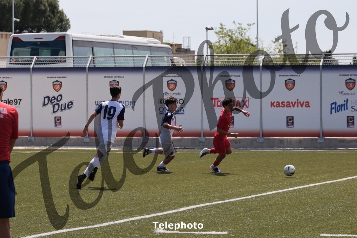Telephoto_6