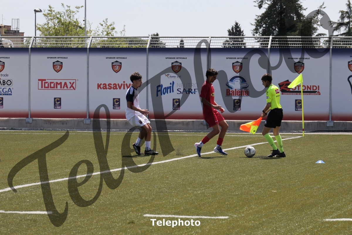 Telephoto_7