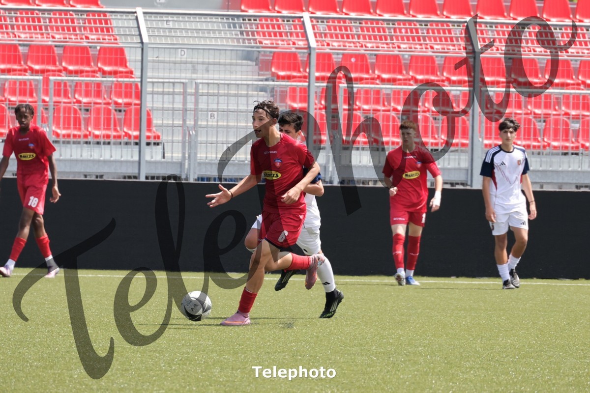 Telephoto_8