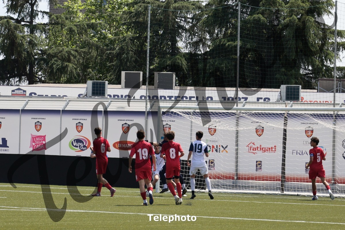 Telephoto_9