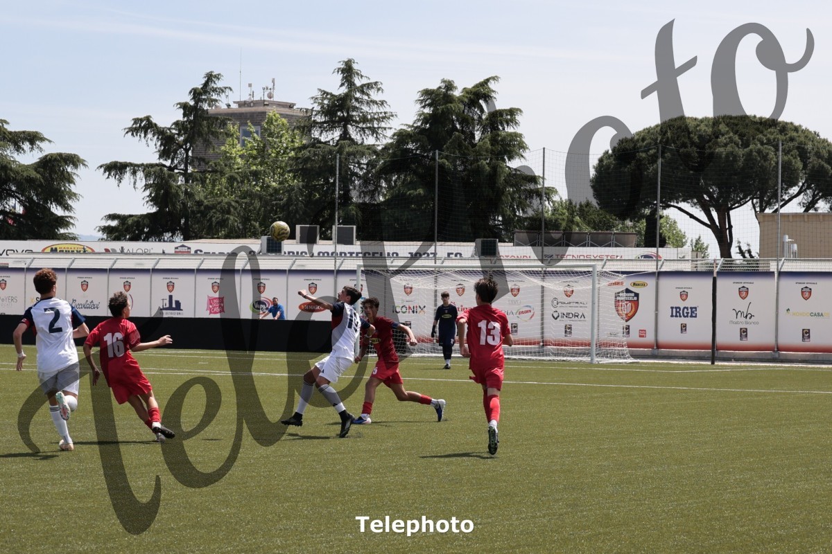 Telephoto_10