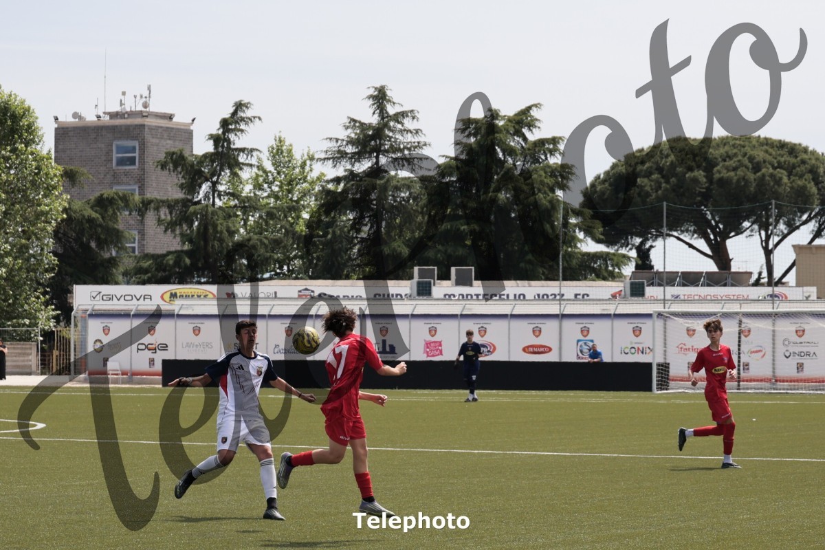 Telephoto_11
