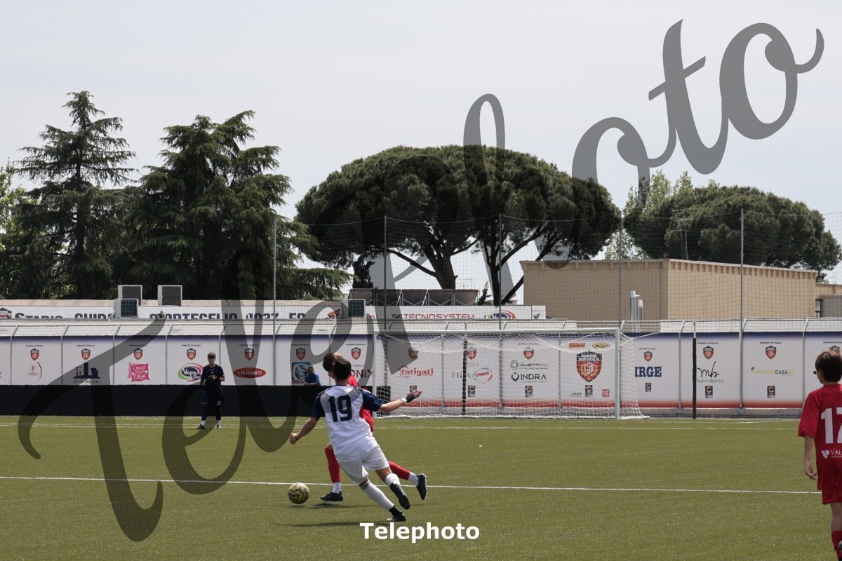Telephoto_12