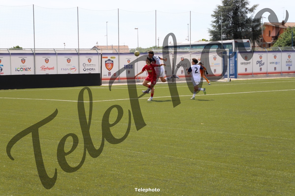 Telephoto_2