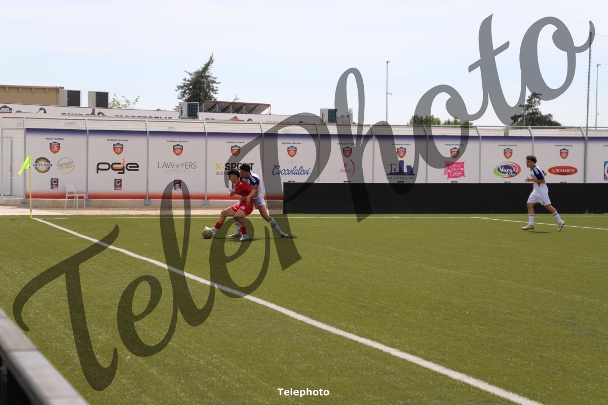 Telephoto_3