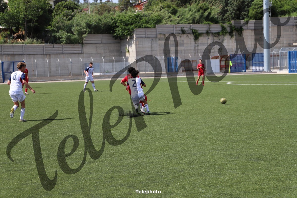Telephoto_6