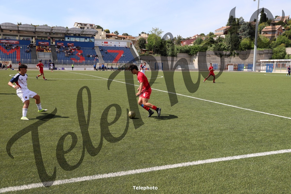 Telephoto_8