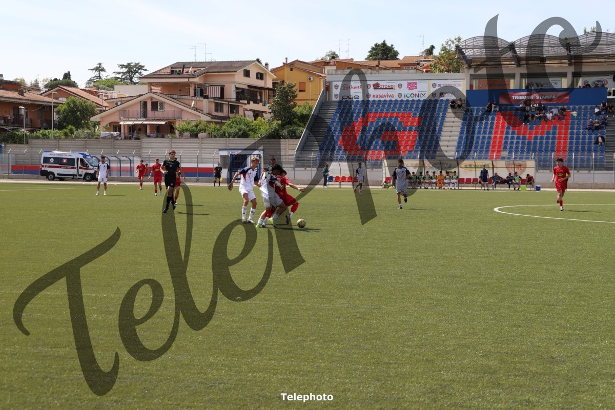 Telephoto_9