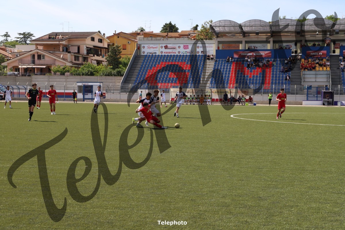 Telephoto_10