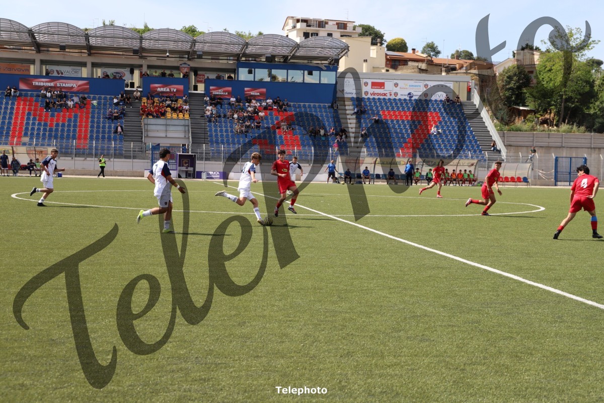 Telephoto_11