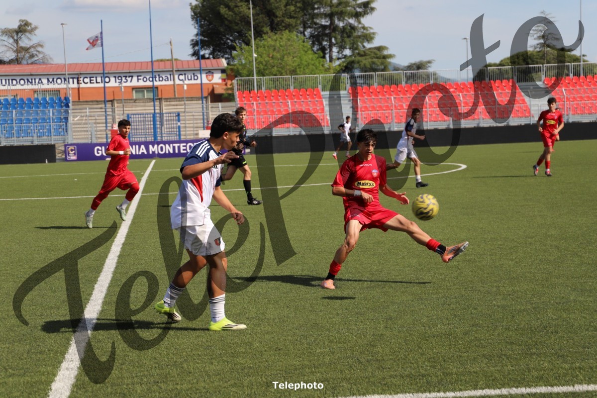 Telephoto_13