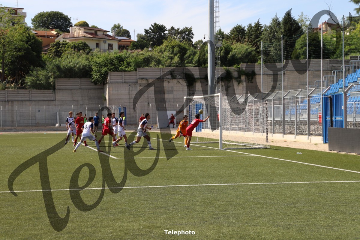 Telephoto_15