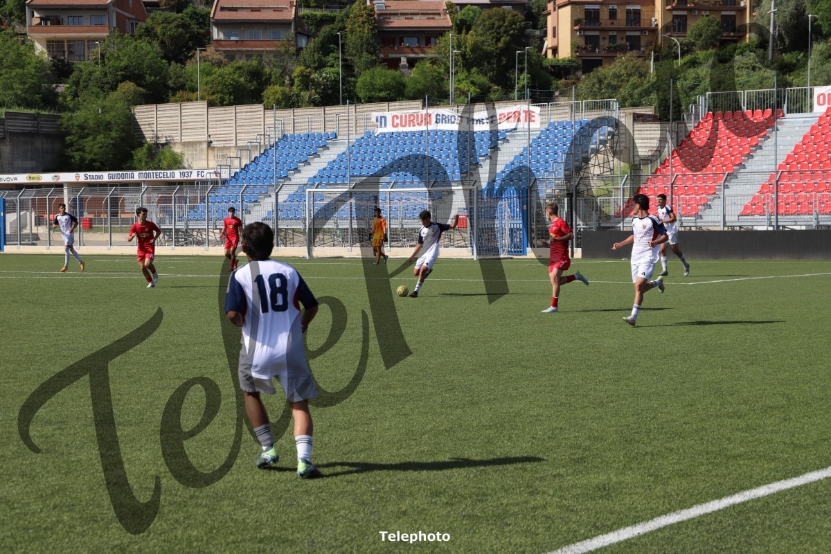 Telephoto_17