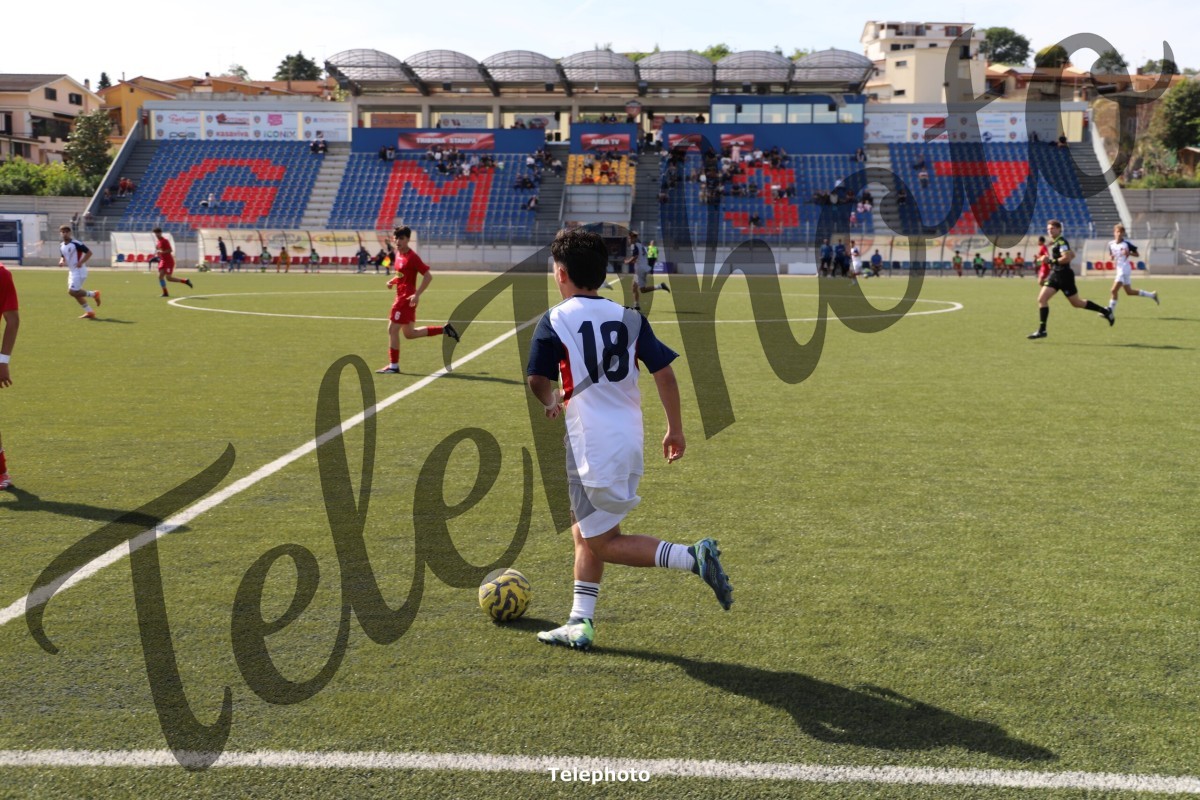 Telephoto_19