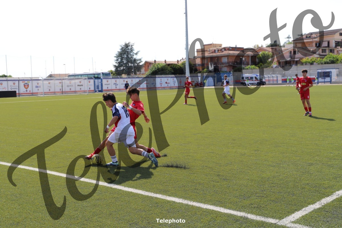 Telephoto_20