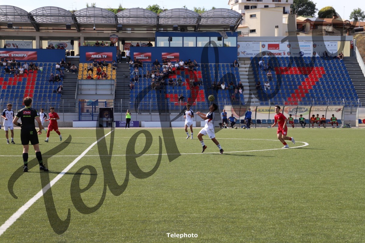 Telephoto_22