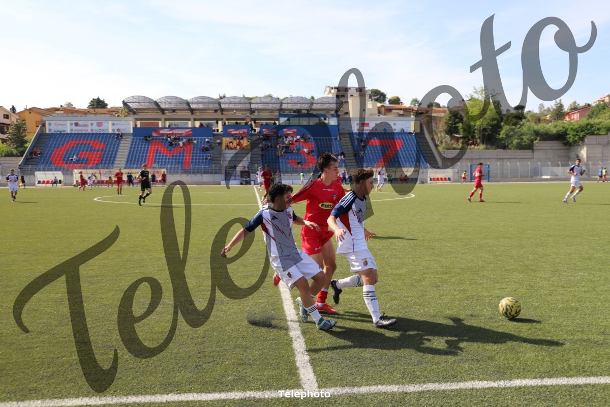 Telephoto_26