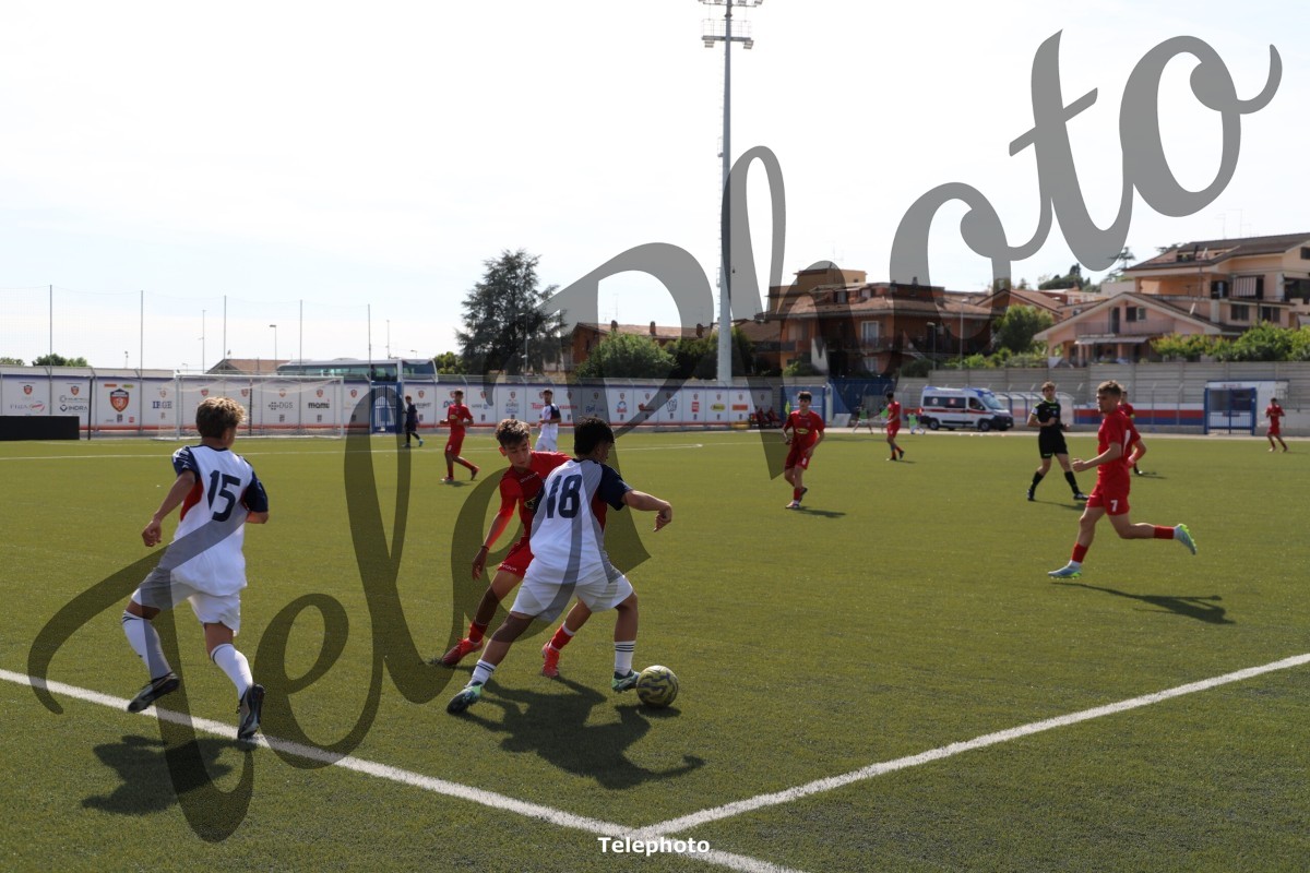 Telephoto_29