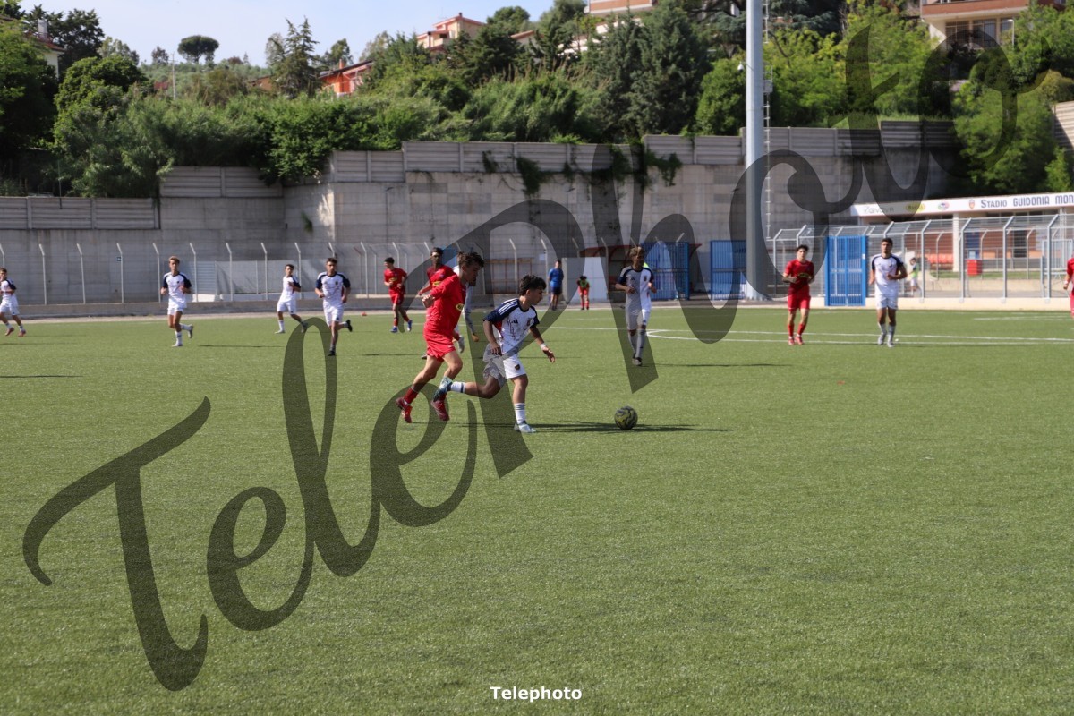Telephoto_31