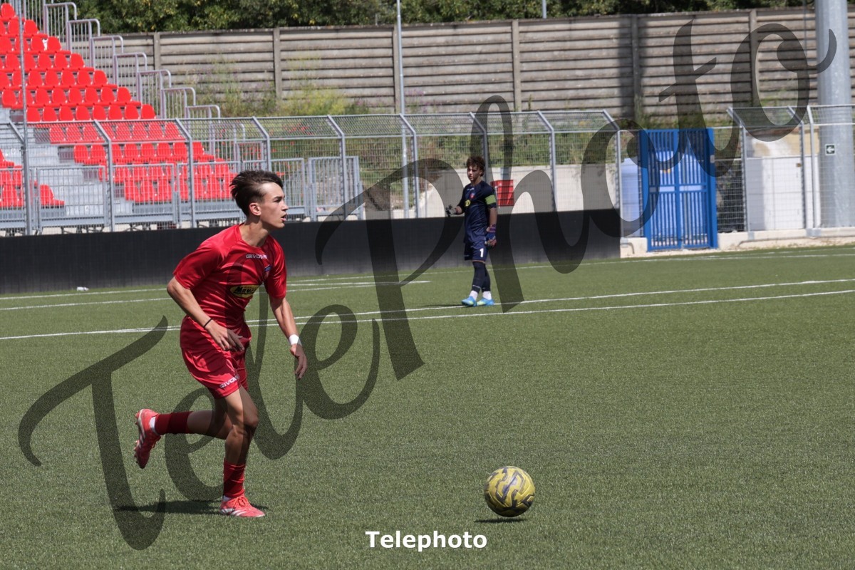 Telephoto_40