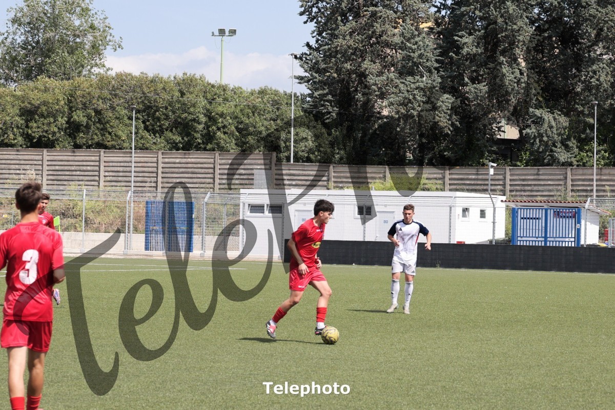 Telephoto_41