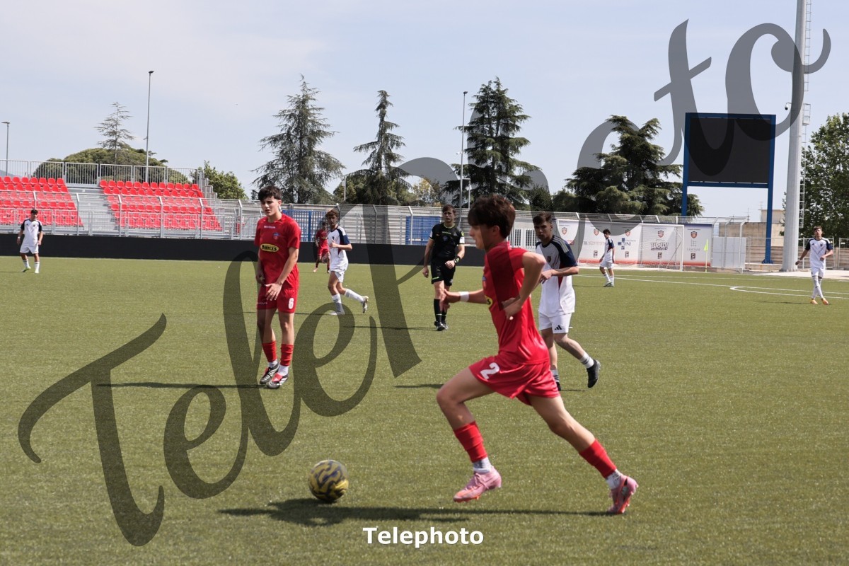 Telephoto_43