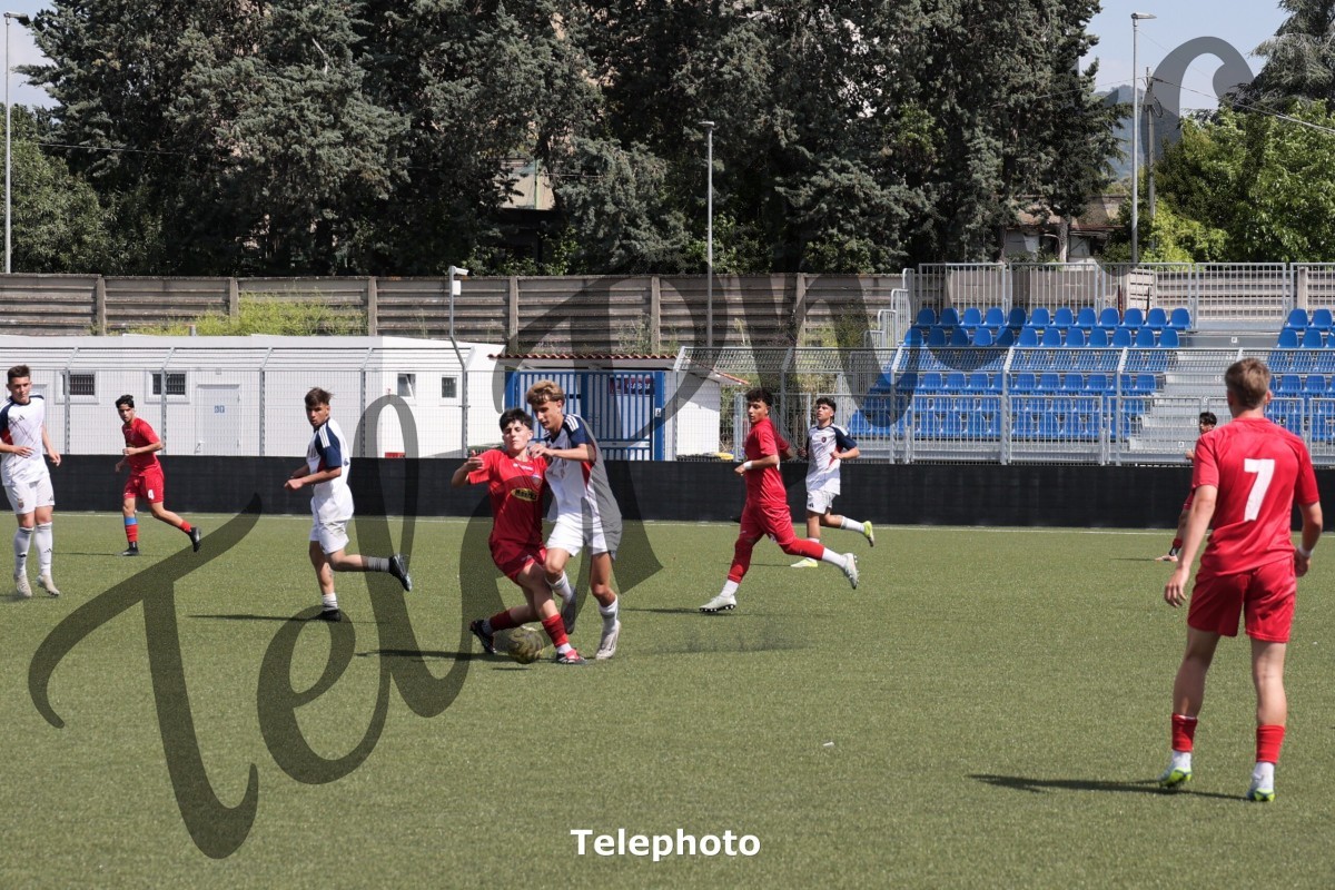 Telephoto_46
