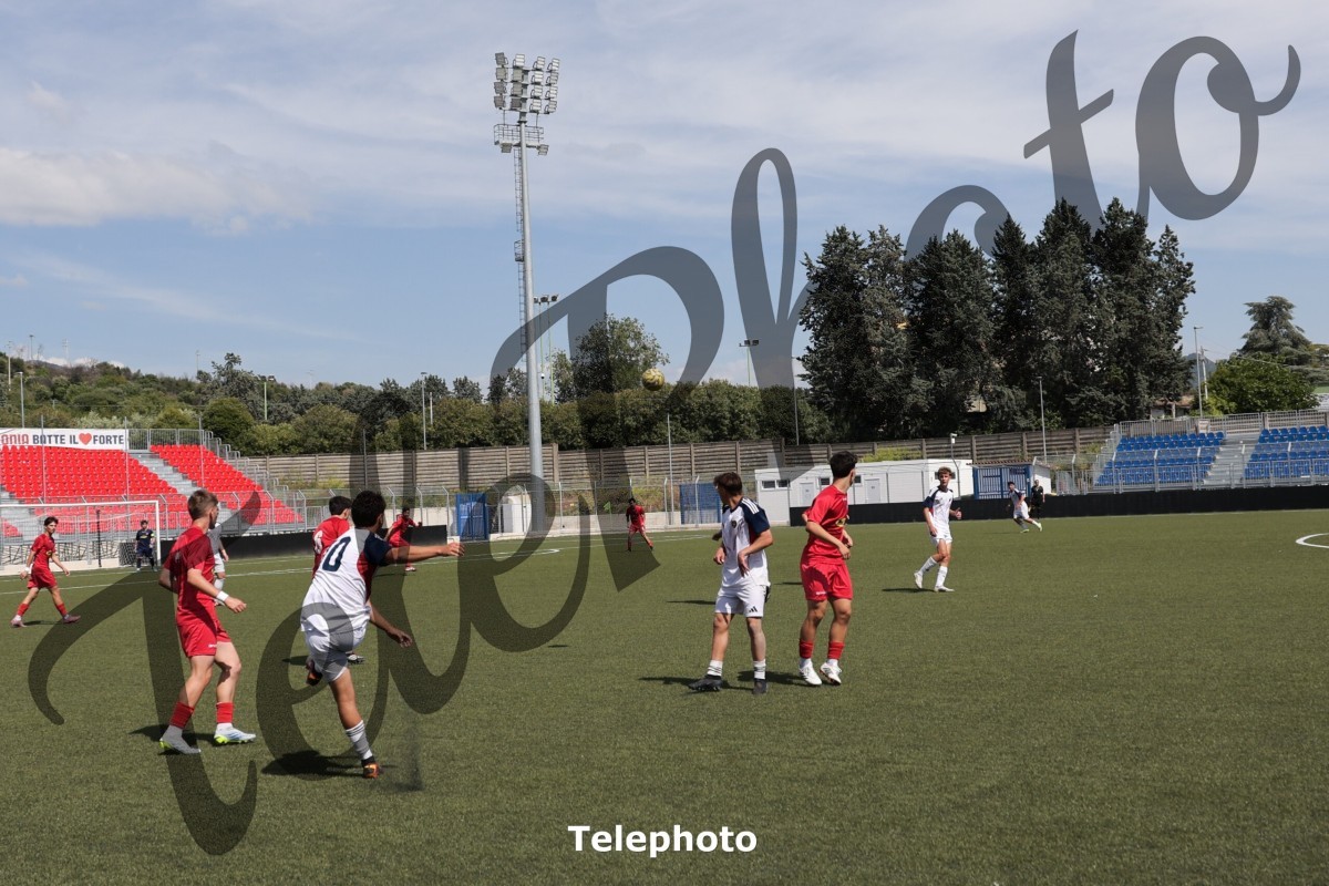 Telephoto_48