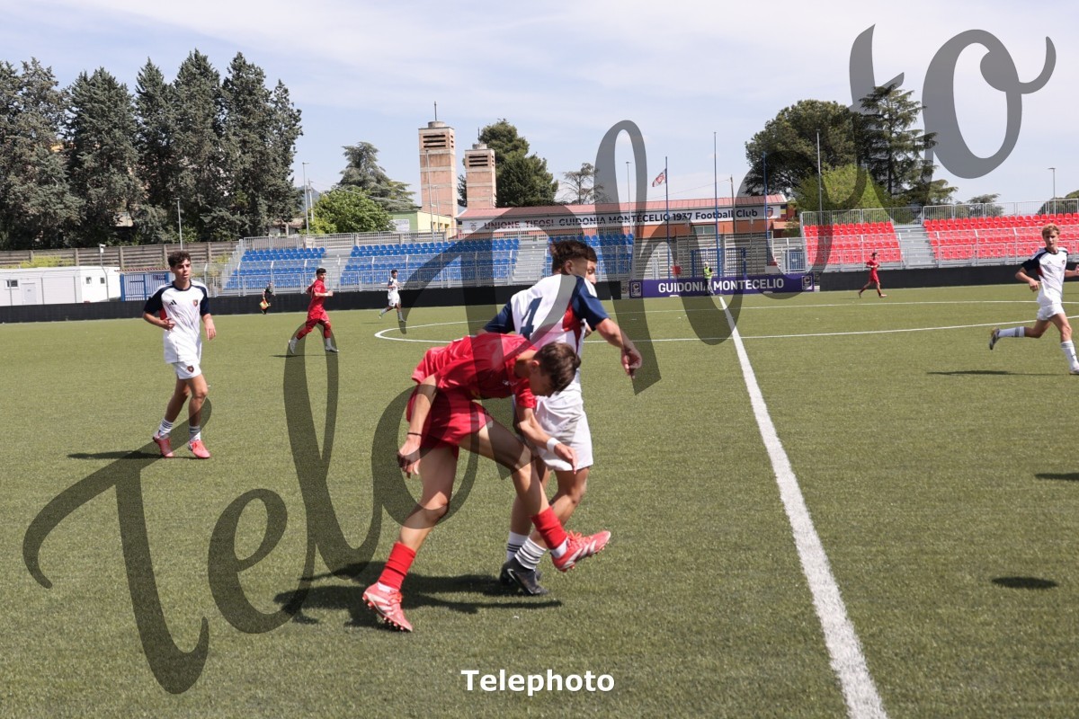 Telephoto_49