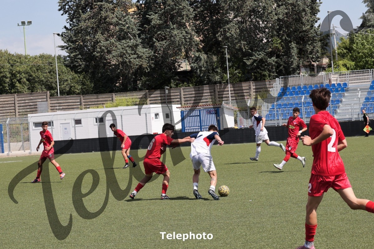 Telephoto_50