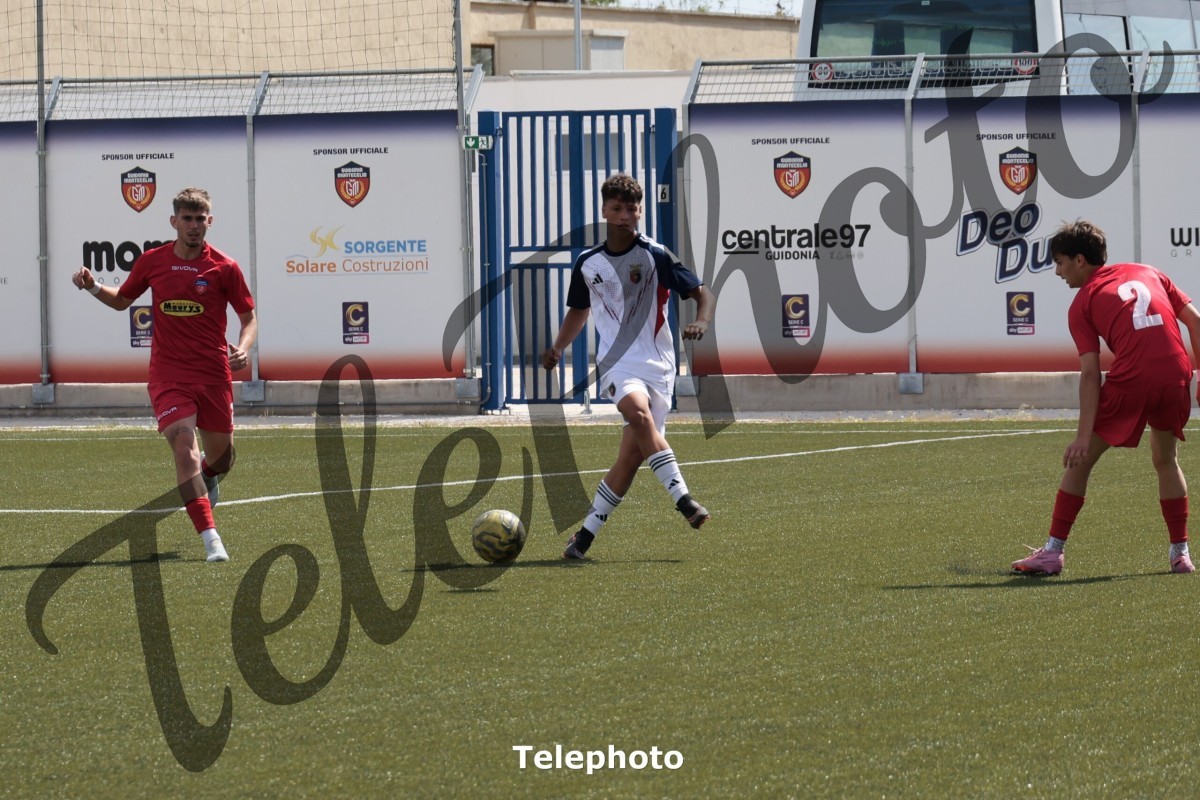 Telephoto_51
