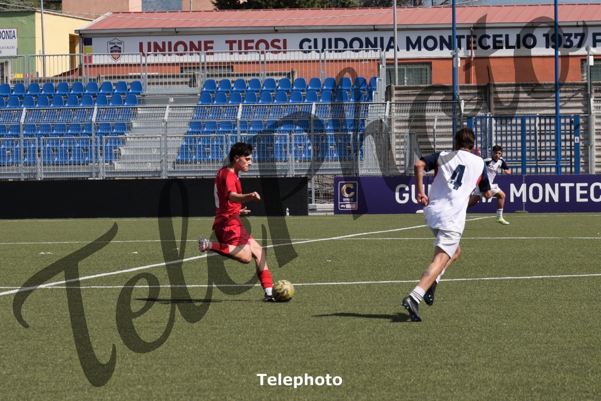 Telephoto_53