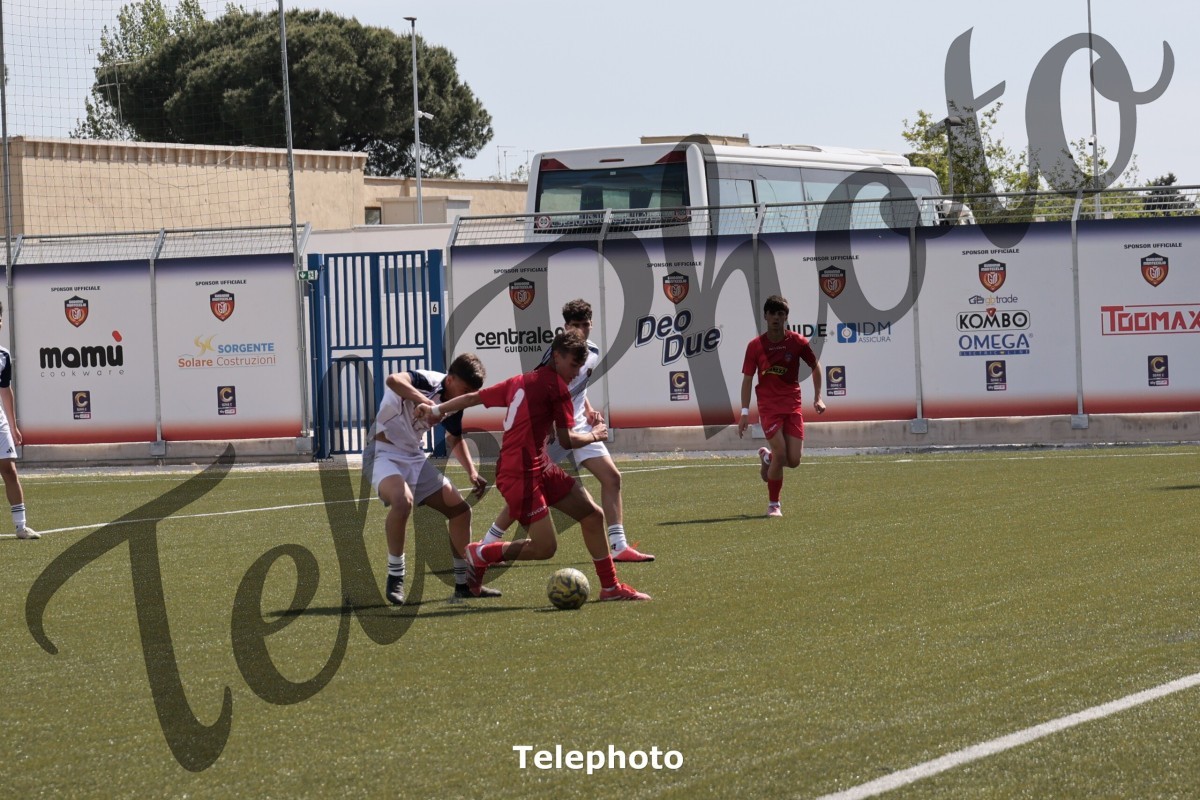 Telephoto_54