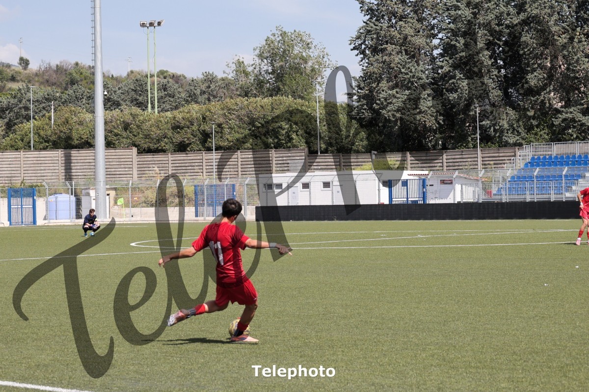 Telephoto_55