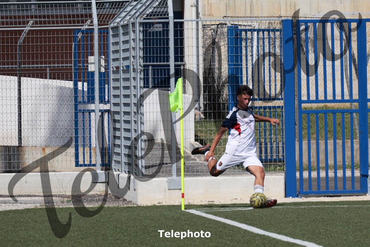 Telephoto_56