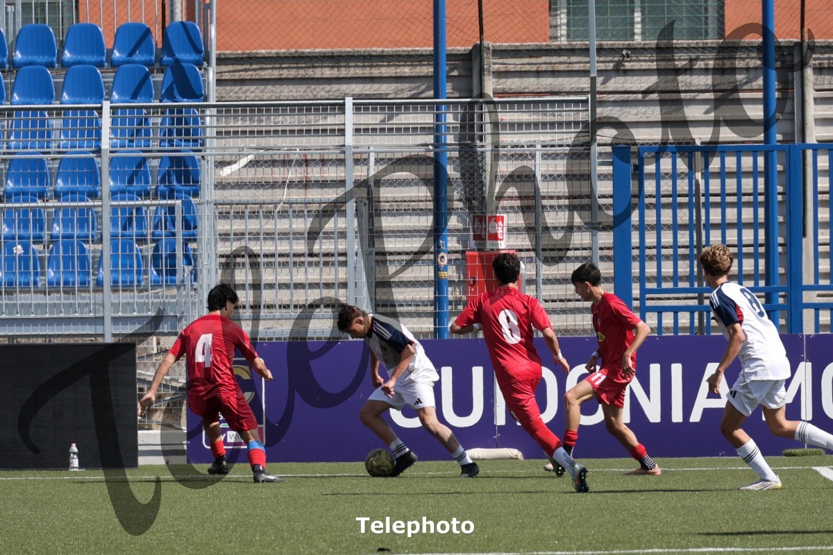 Telephoto_57
