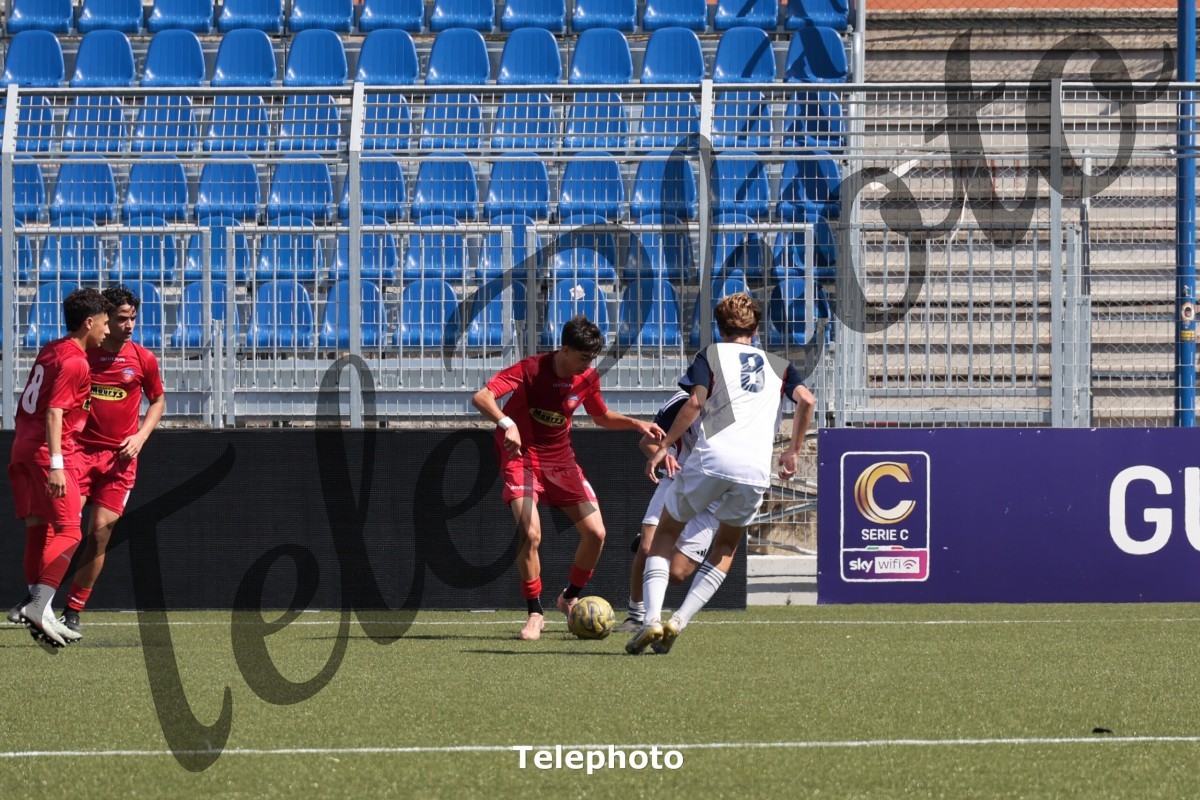 Telephoto_58