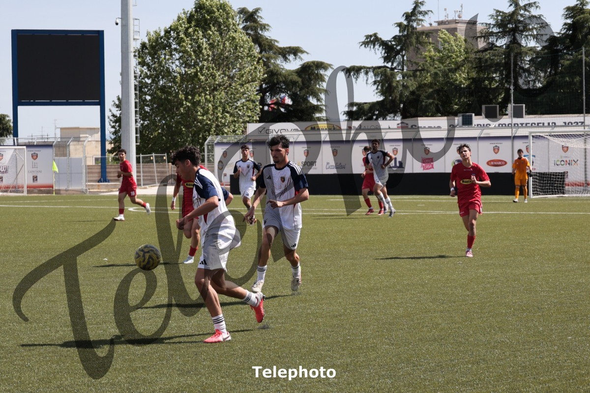 Telephoto_59
