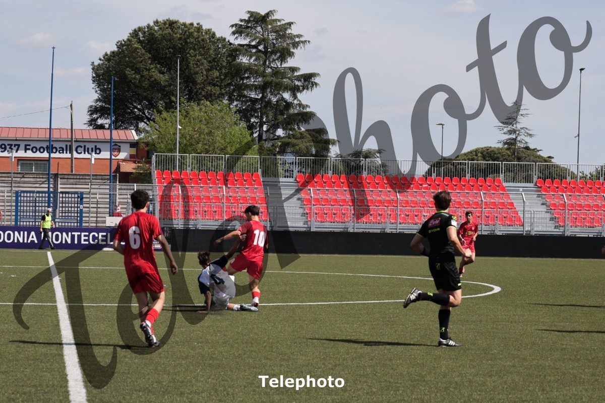 Telephoto_60