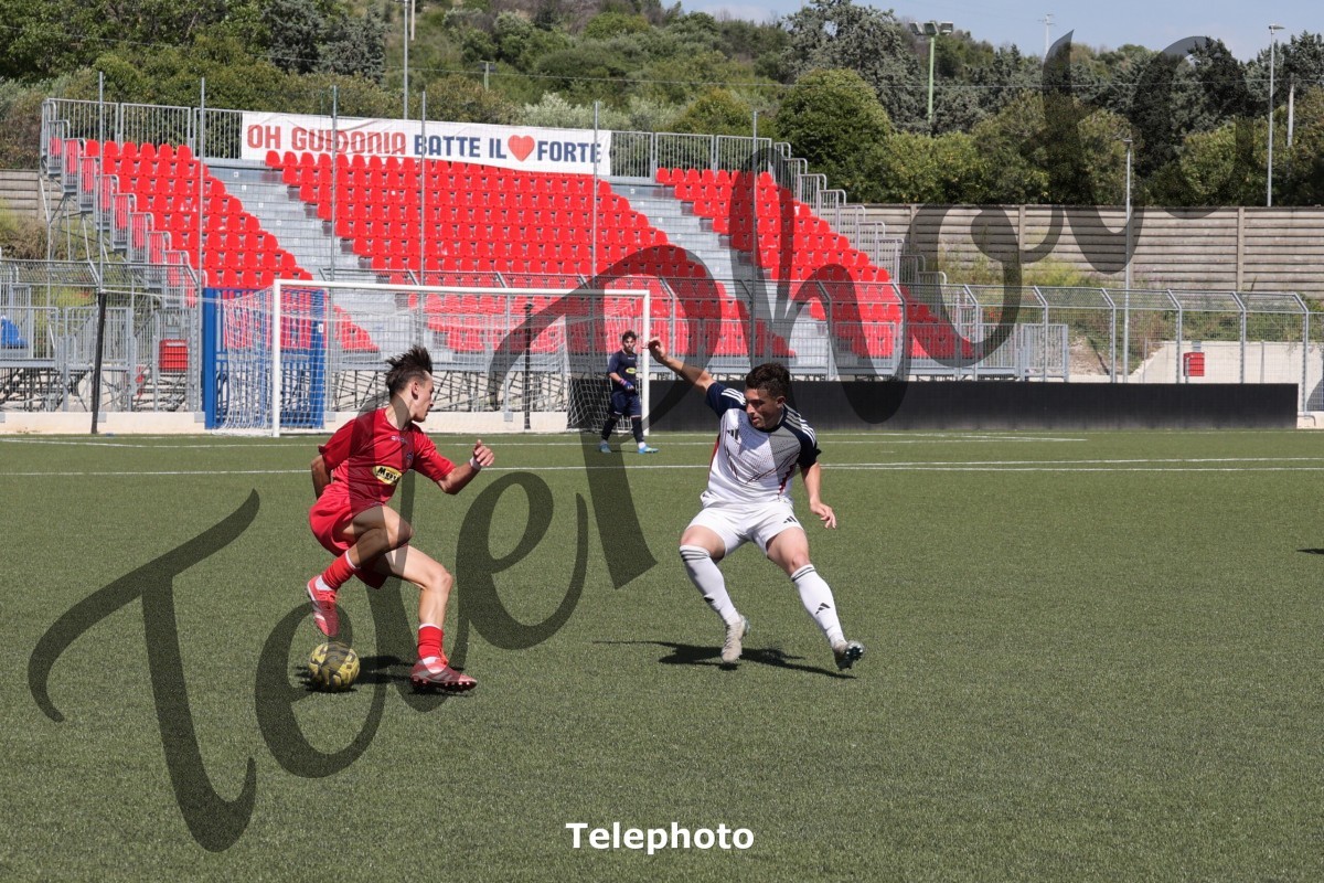 Telephoto_62